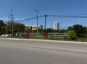 Terreno / Lote , Telchac Puerto · Terreno en Venta Frente Al Mar en San Benito