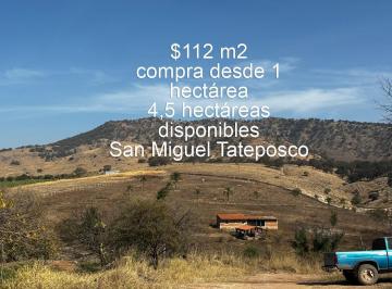 Terreno / Lote · 45000m² · 2 Recámaras · Venta Terreno 4.5 Hectáreas Zapopan San Miguel Tateposco