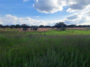 Terreno / Lote , Tequisquiapan · Terreno en Venta en Tequisquiapan Para Inversion