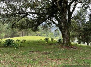 Terreno / Lote · 55000m² · Terreno - Pueblo Xico
