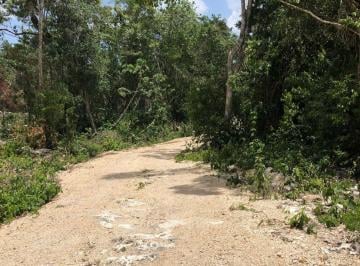 Terreno / Lote , Tulum · Terreno Ecologico Camino y Servicios