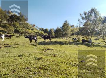 Terreno / Lote · 130000m² · Terreno - Pueblo Xico