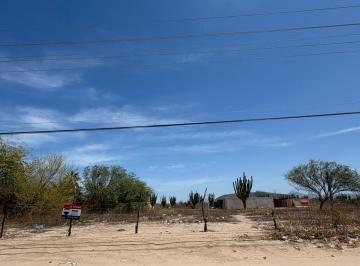 Terreno / Lote · 1500m² · Terreno La Pitahaya 1 - (4)