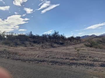 Terreno comercial · 5000m² · Venta de Terreno con Frente de Carretera Camino Al Saltito - (4)