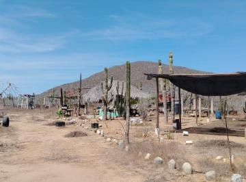 Rancho · 10000m² · 1 Recámara · Rancho Roca Viva - (4)