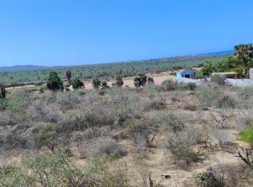 Terreno / Lote · 5000m² · Terreno "La Pila" en Ejido Plutarco Elias Calles 5000 m² - (4)