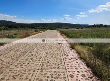 20260721_160520.jpg · Terreno Residencial en Venta en Pueblo San Pedro Tenango