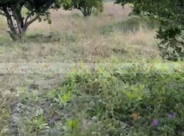 Terreno / Lote · 1600m² · Terreno / Lote en Venta en Calles