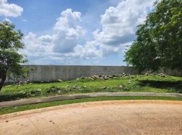 Terreno / Lote , Mérida · Terreno en La Privada Allegra, en El Norte de Mérida