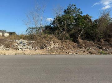 Terreno / Lote , Mérida · Excelentes Terrenos en Venta en Temozón Norte