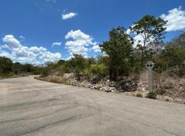 Terreno / Lote , Chicxulub Pueblo · Terreno en Venta en Privada en Chicxulub Pueblo