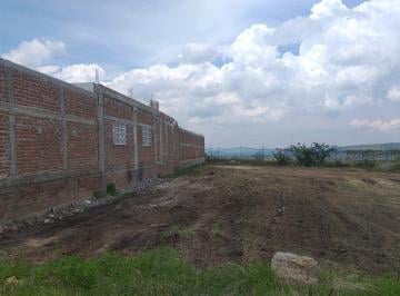 Terreno / Lote , Romita · Terreno Residencial