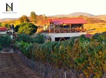 Rancho de 6 habitaciones, Ensenada · Rancho en Venta en Piedras Gordas, Ensenada – 1.5 Ha con Cabañas y Alberca
