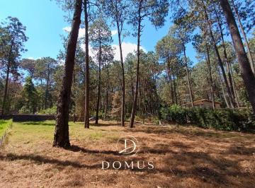 Terreno / Lote , Valle de Bravo · Terreno con Entorno Boscoso