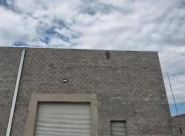 Bodega comercial · 315m² · Bodega en Renta en Calle Washington Comercial