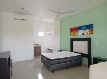 1f41810b3735f777579be52c5766b7a3e9b27dc56151eff81254309c18388a25 · Departamento Tipo Loft en Renta – Planta Alta