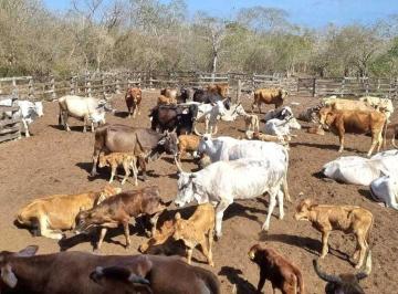 b2510faa19f1ffe01e9283a81a181c3b6674520fc6e527e3ad20959b8bb43304 · Rancho en Venta – Propiedad Privada de 381 Hectáreas en Yucatán