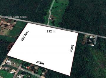 385f64b24e96d02561c4b00d0a7bb71bb7c35f9b3b50c461319c4d28bc289696 · Terreno de 40,000 m² en Venta a 2 Km del Anillo Periférico Sur