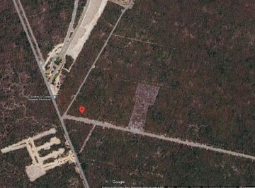 dd260970285e79e257a65fc72a8d91aec93c82c3bc4819dd10562dff4810e033 · Terreno de 1 Hectárea en Venta en Sierra Papacal
