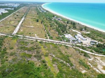 6625baeacb7a40854e521215d0061180fd370a5938abe511b6ae1ff583cc3447 · Terrenos en Venta en Almare "Sisal Pueblo Mágico"
