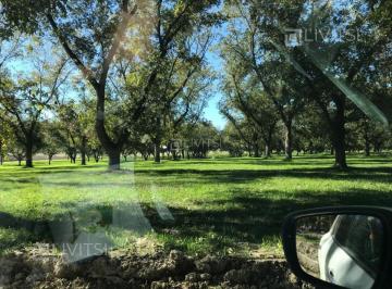Terreno / Lote , Parras · Terreno en Venta en Parras