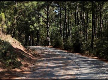 Terreno / Lote , Mazamitla · Terreno en Venta en El Corazón de Mazamitla