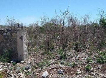 2de5eee33e53e65595dcfac319cba3bc8f221af9517e0e6c42cd1095d347c0fa · Terreno de 2937.69 m² en Venta en Chichi Suarez