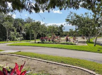 979eea422559b179ce51bdcbe157b6d4cc2f62d56d58193a8f80da5fc211ba77 · Lote Residencial en Venta en Privada Parque Caucel