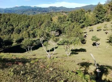 Terreno / Lote · Terreno - Fraccionamiento Briones