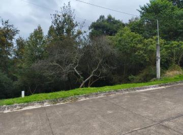 Terreno / Lote · Terreno - Rancho o Rancheria Rancho Viejo