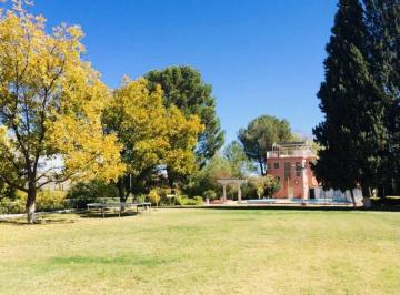 Rancho de 4 habitaciones, Chihuahua · Granja Nogalera en Venta Antes de Caseta Sacramento