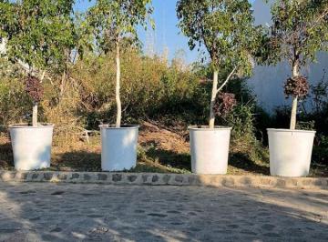 Terreno / Lote , Cuernavaca · Venta Terreno en Cuernavaca en Zona Dorada