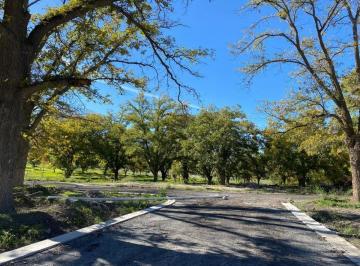 1 · Terreno en Venta en Parras Coahuila.