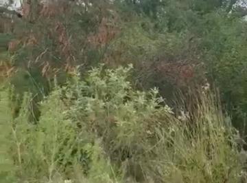 1 · Terreno en Venta Cumbres Elite Premier, Sector Everest, Zona Cumbres