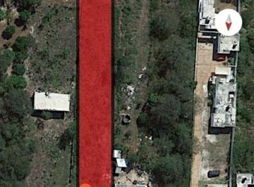 30e9e63a53ed402bce2586617e5486c4c0d998c3f9e528591564d96c14f7a633 · Terreno de 1,593 m² en Venta en Chichí Suárez