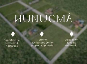 80acf3c9c2c508dc44c5c45fcb59c10fba70dc4195edb2787ab0376596334d71 · Se Venden Terreno de 10 Hectáreas en Hunucmá