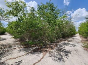 5e0adaccf327f5ac15d9ecd747020f781eec411a1264f1f129d0ad797c70f6e0 · Terreno de 1 Hectárea en Venta, Kikteil, Mérida, Yucatán