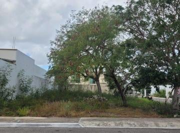 a6a01d28108081a0dfb13212e98e3f12994d73dea2697d05a1bb5797a2c9cb1b · Lote Residencial en Esquina en Venta en Privada Zona Altabrisa