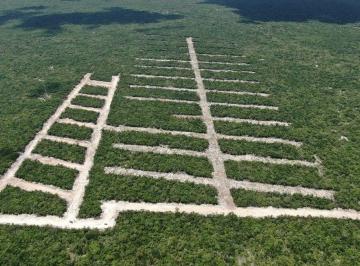 161988a9221e398d3f048e41eae7cca1d0d85007bc2c6ac0cb378069ddceab2d · Terreno en Venta en Chuburná Puerto, Progreso | 405 m² Para Inversión