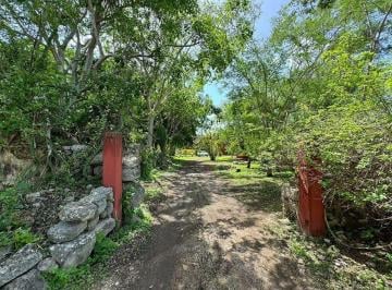 ba6891d10217847271e3ed4f3260f522648507ae1b74f510ce7ede3d9bd97aaa · Finca Henequenera del Siglo Xix – Remodelada