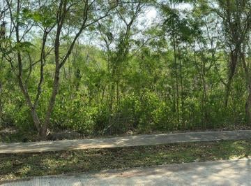 bd6a47c0f8f28f6ccb39a73f55fd96c163a2cb167f544d53aa5be06feecc61a1 · Lote Residencial en Venta en Cabo Norte Mérida - Licata | Proyecto Aprobado