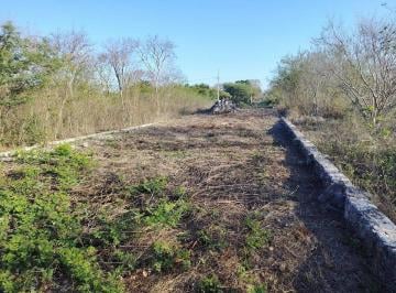 2d1ad6fe4ec484147926c91e1f2ead9b986f65d7112dff5f4cef29920d17b596 · Terreno Urbano en Venta con Amplio Fondo en Hunucmá