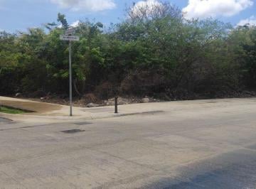 42a40c0cfaf88e1e8b9012000d3cc2f0c6bade6f9301fc31a965566419c63dc6 · Terreno en Privada Norte Mérida de 1,299 m²