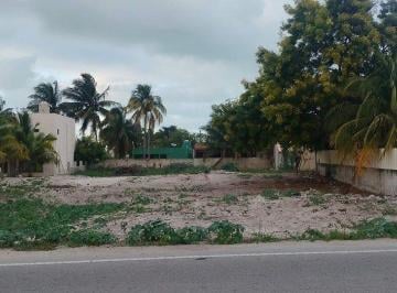 d37a885958b776036071ea5e0534901e078ec25ed09c3ff03c5b115b66cc1dfe · Terreno de 1,214 m² en Venta Sobre Carretera Costera de Telchac Puerto
