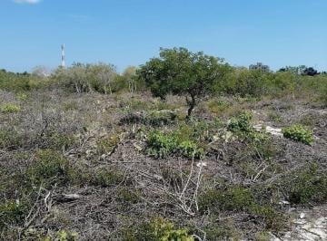 354727013b7ff633276100ea2ea9b7c195251b52ea68e87296f801d98afa0bc9 · Terreno de 500 m² en Venta en Chicxulub Puerto, Progreso, Yucatán