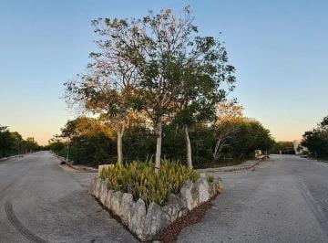 9e941e0537555a6fdb44ec3a4b99591af1397fca21db1a6b6646216c9616b77b · Terreno de 733 m² en Venta en Residencial Dzidzil - Há