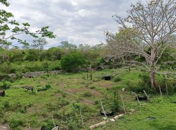 94a292a410c8d5e336b16124e2058b9dfc719fb023bccc139bb97539b3f9bab0 · Rancho de 120 Hectáreas Sobre Carretera Izamal–valladolid