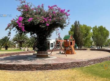 Terreno / Lote · 731m² · Venta Terreno de 731.86 m² en Residencial en Alquerías de Pozos Slp