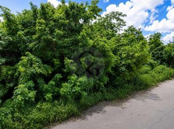 Screenshot 2026-09-05 at 10.17.03 a.m..png · ya'Ax: Terreno Residencial en Venta en Tulum