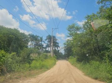 Foto 1 · Terreno en Venta en Chichi Suárez, Mérida, Yucatán